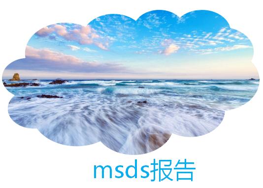 msds报告