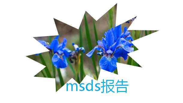 msds报告