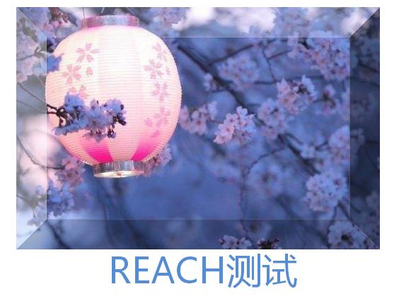 reach测试