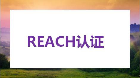 reach认证